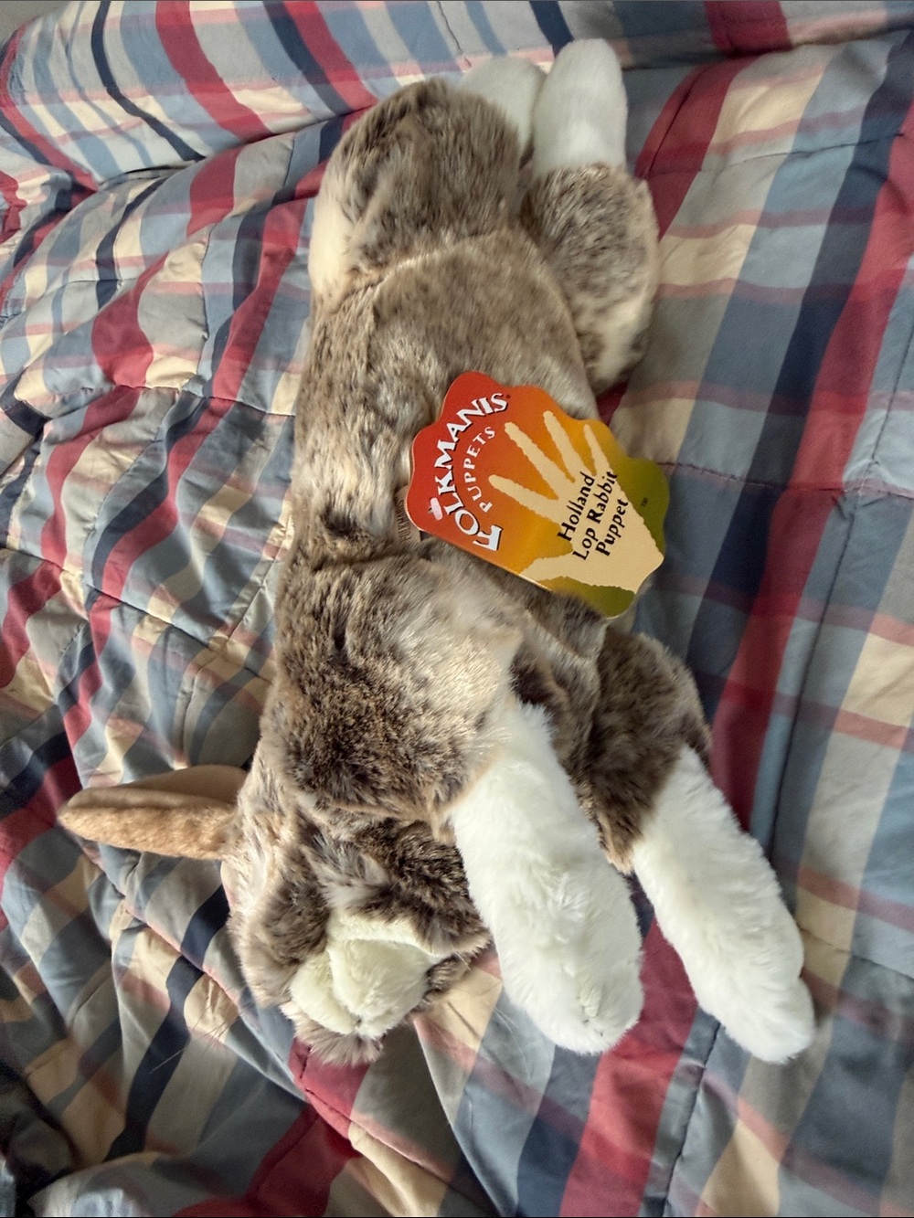 NWT Folkmanis puppet holland lop rabbit - Picture 4 of 4